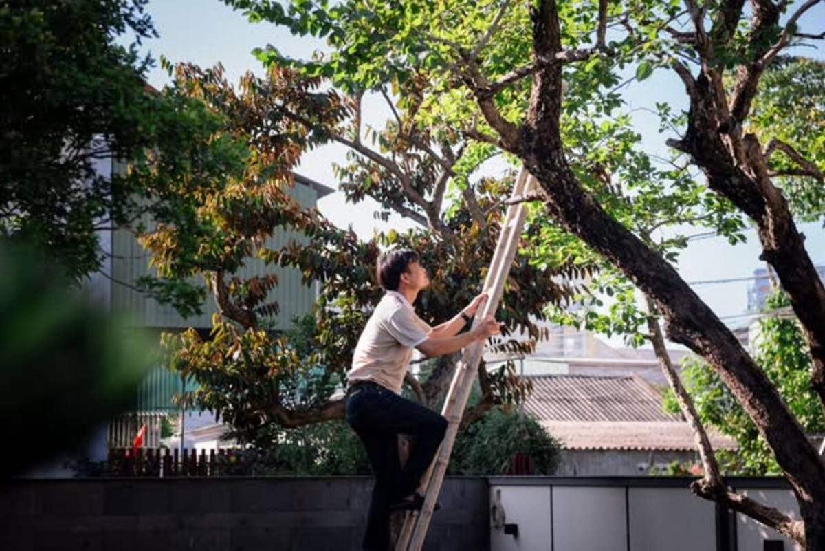 Thi công nội thất gỗ óc chó cần sự tỉ mỉ và tâm huyết